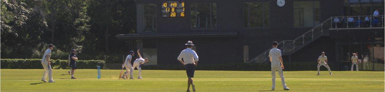 2022 alumni Cricket