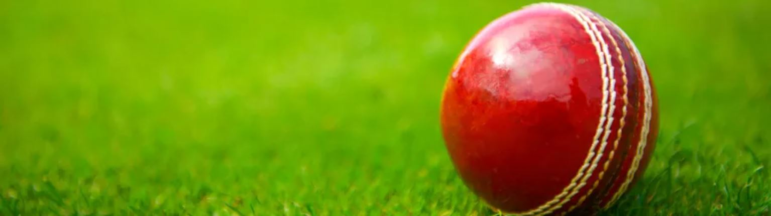 Cricket ball